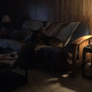 Meet your Posher, Frank